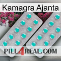 Kamagra Ajanta 29